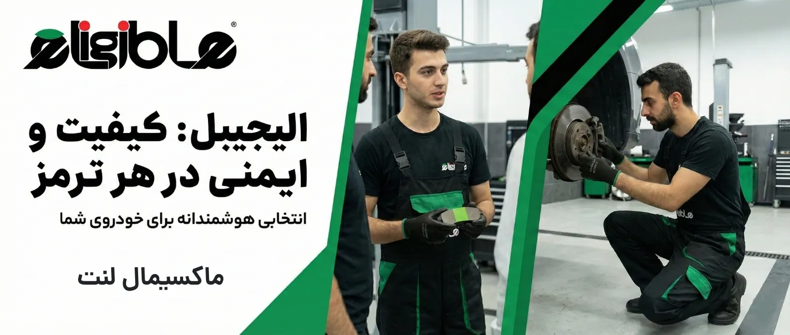 ماکسیمال لنت و الیجیبل