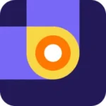 ماکسیمال لنت در بلد