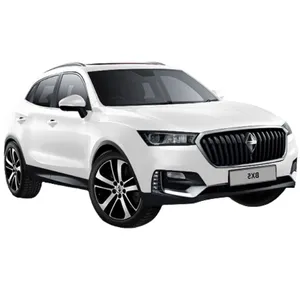 بورگوارد BX5