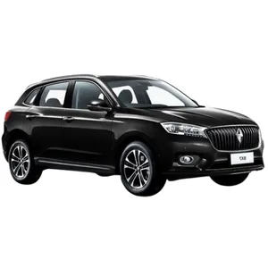 بورگوارد BX7